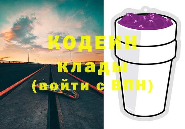 прущие грибы Осинники